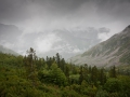 014.jpg